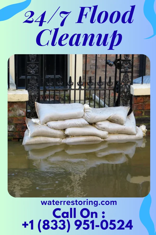 24/7 Flood Cleanup in E. Lopez, TX