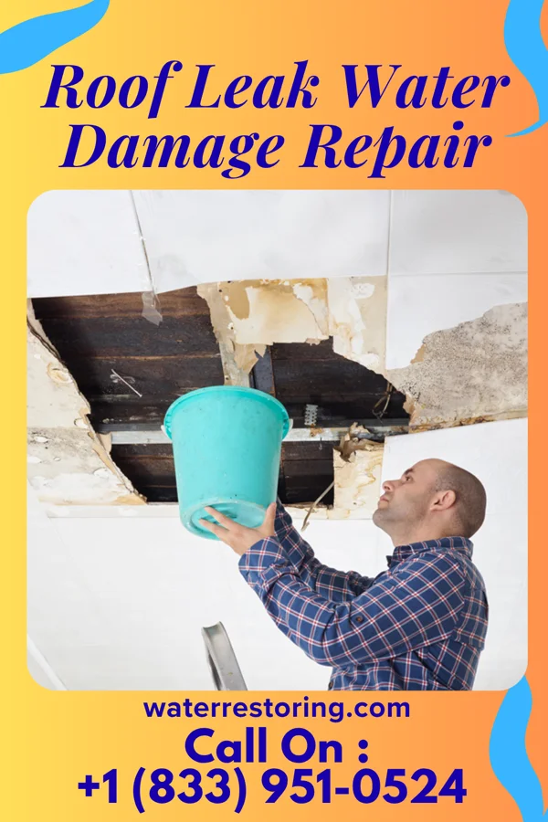 Roof Leak Water Damage Repair in E. Lopez, TX